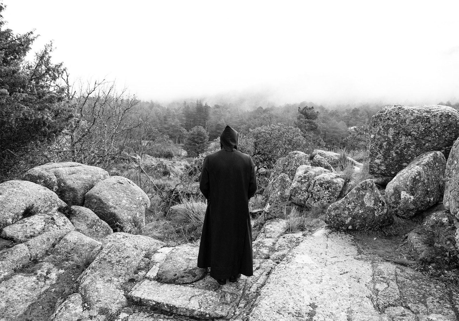 José Luis Martínez Arce